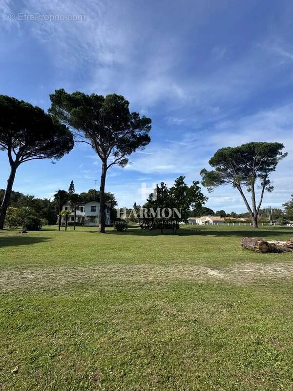 Harmon a vendre : propriété a Magescq - photo 7