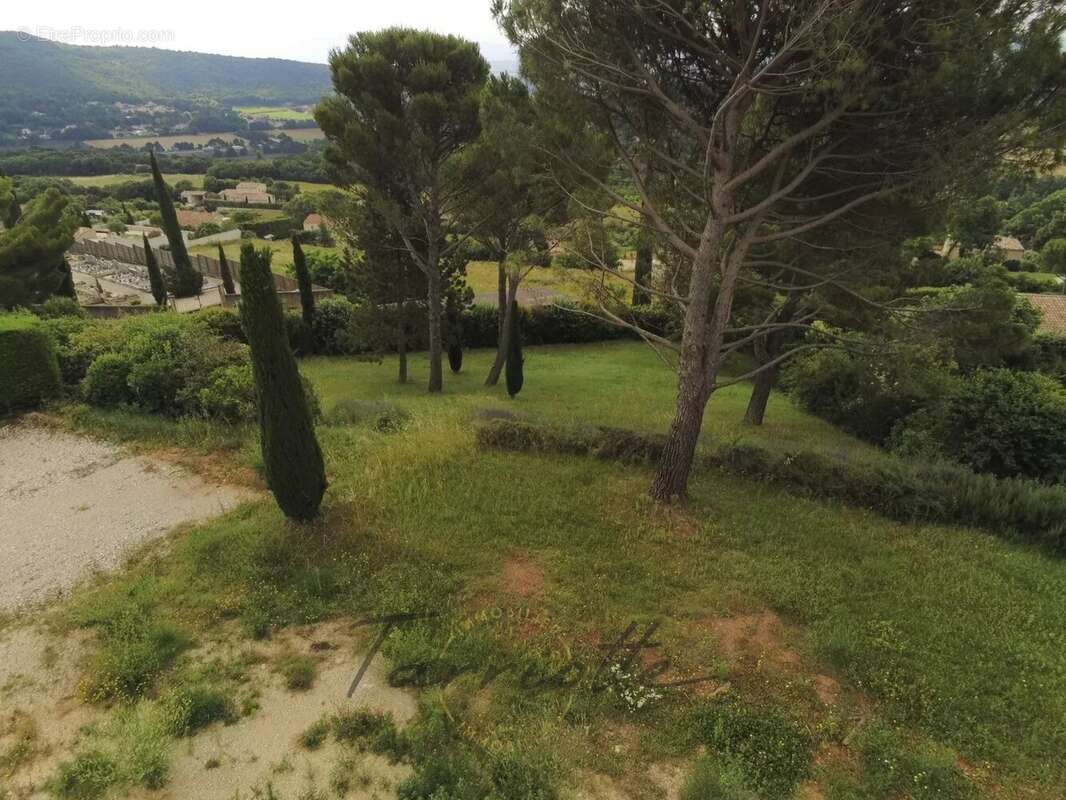 Terrain - 10455 - photo 5