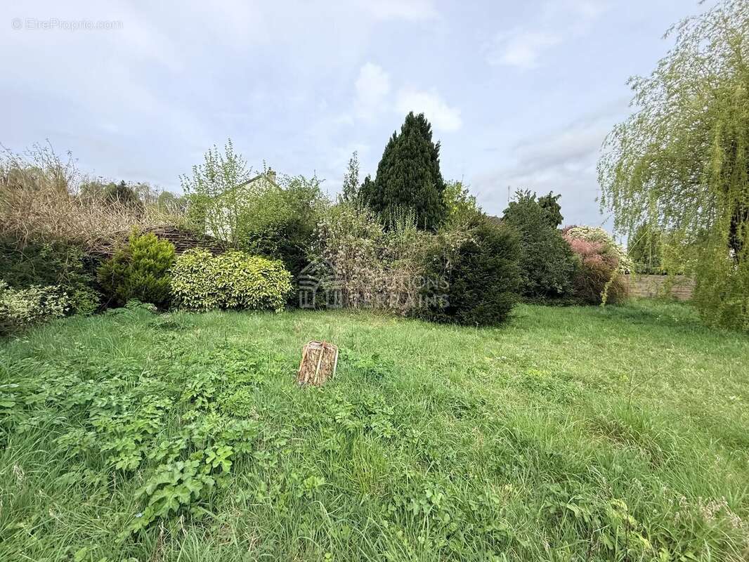 Terrain à BUTRY-SUR-OISE