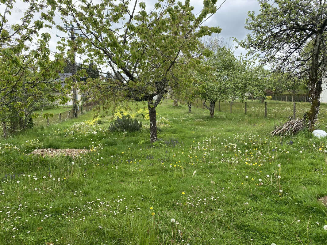 Terrain à ARNAC-POMPADOUR