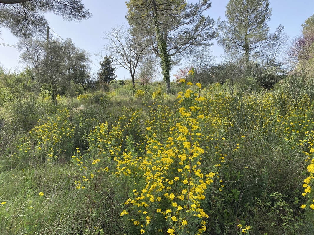 Terrain à PEYMEINADE