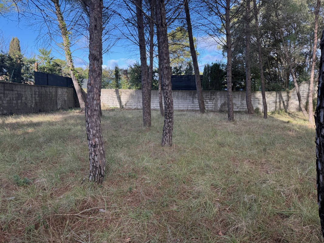 Terrain à GUZARGUES