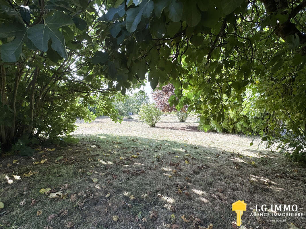 Maison de plain-pied au milieu de son jardin arboré d'arbres fruitiers avec grange de 346 m2 - photo 19