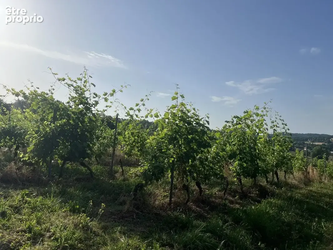 À Vendre : Terrain avec Vignes - Puy-d'Arnac (19) - photo 4