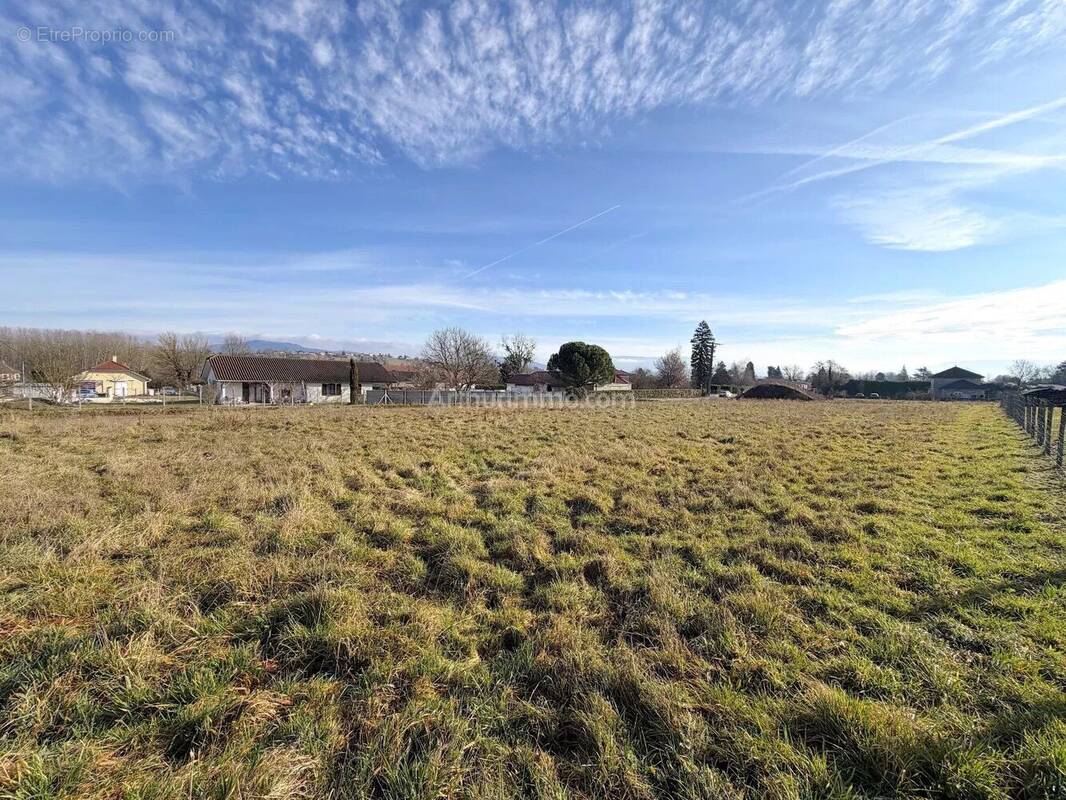 Terrain à CORBELIN