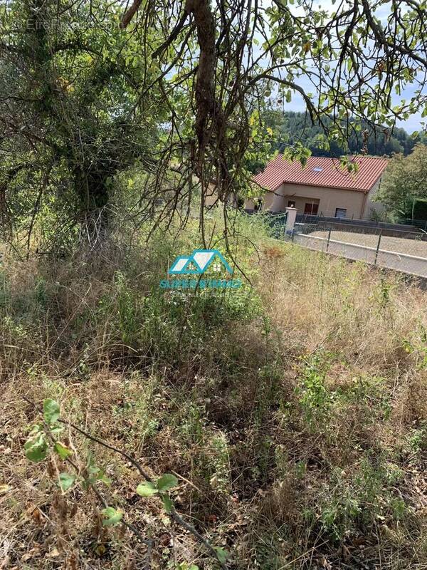 Terrain à VIEILLE-BRIOUDE