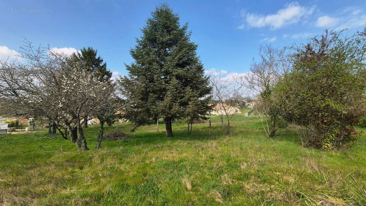 Terrain à EGLISE-NEUVE-DE-VERGT