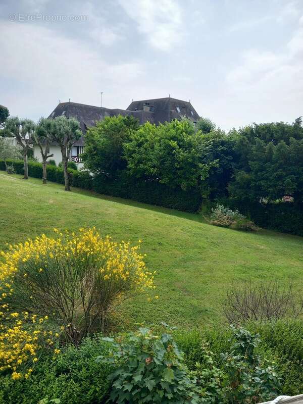 Appartement à TROUVILLE-SUR-MER
