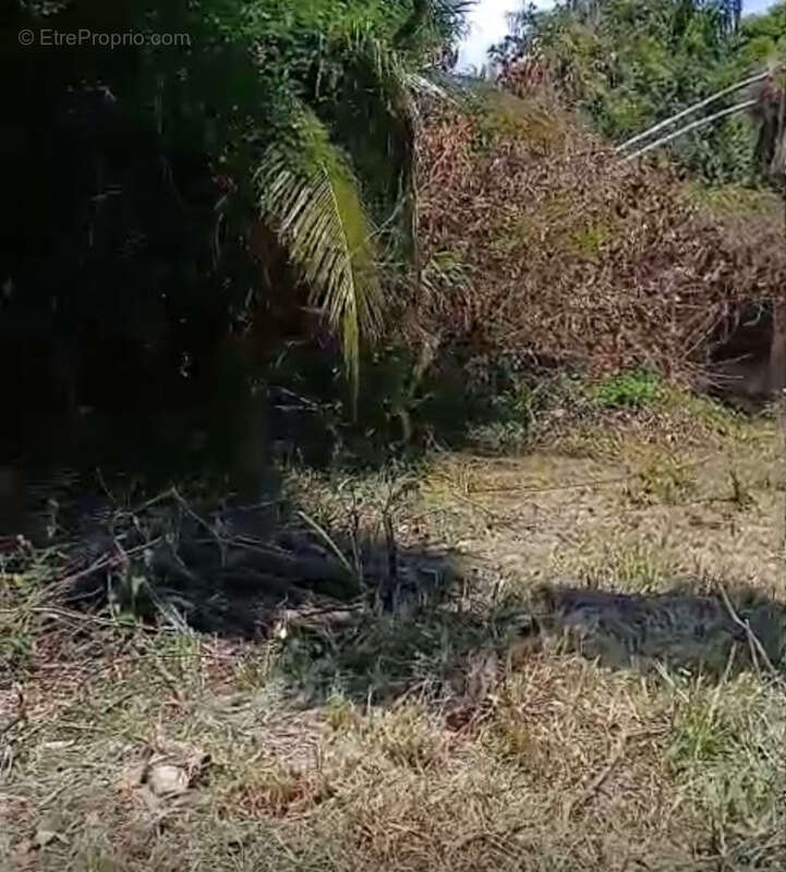 Maison à REMIRE-MONTJOLY