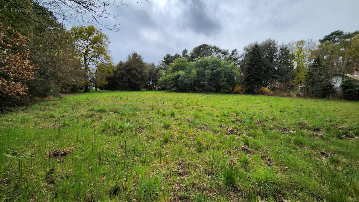 Terrain à SAINT-HILAIRE-DE-RIEZ