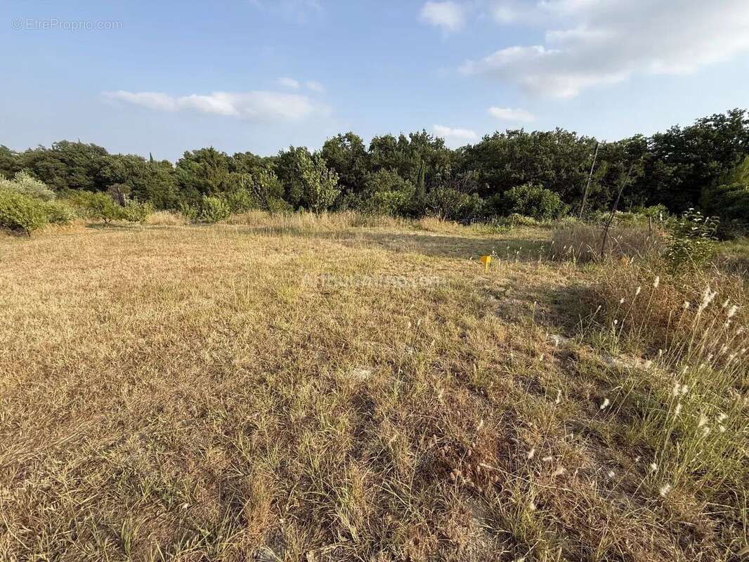 Vente Terrain Clermont-l'herault(34800) 149 000ï¿œ - photo 3