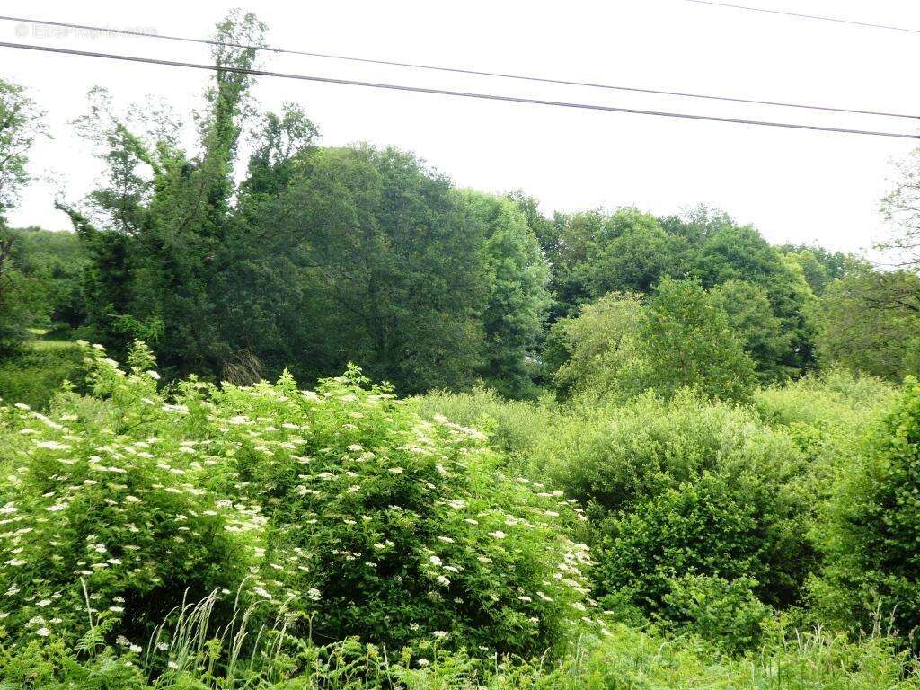 Terrain à PLOURAY