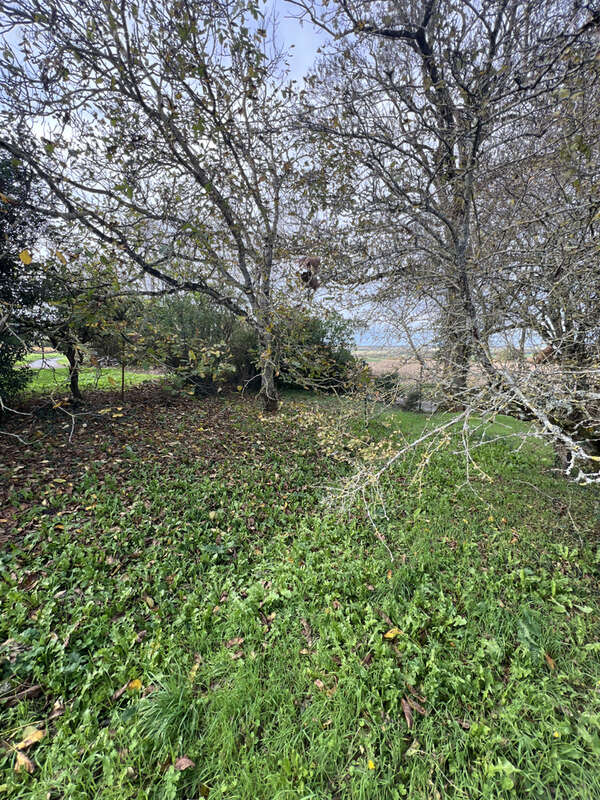 Maison à ASNIERES-LA-GIRAUD
