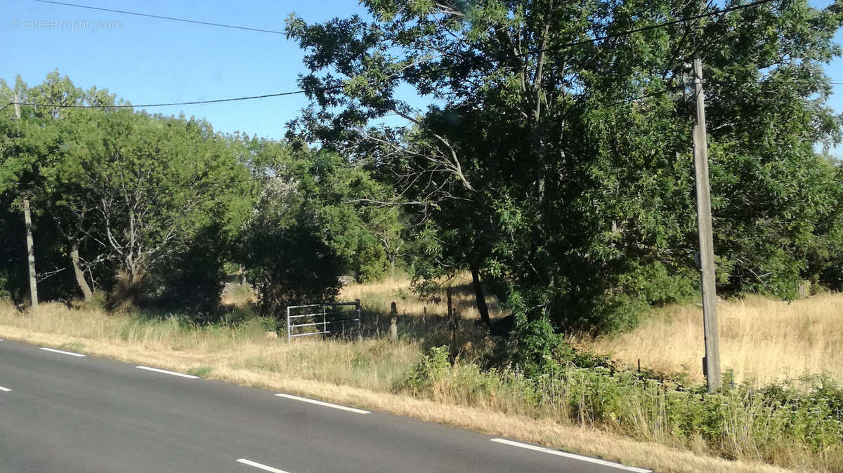 Terrain à VALMASCLE