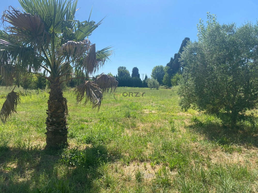 Maison à SAINT-REMY-DE-PROVENCE