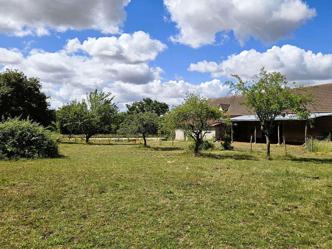 VIENNE : Ferme Rénovée de 5 Chambres avec Piscine, Installations Équestres & 4,32 ha près de Chauvigny - photo 16