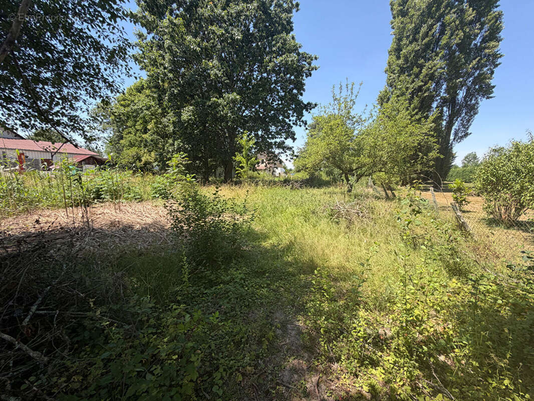 Terrain à bâtir Le Deschaux 1370 m² - photo 4