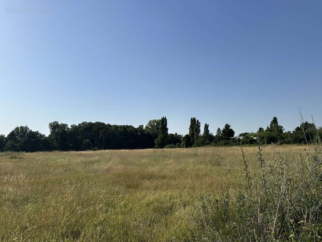 Terrain à LA COUR-MARIGNY