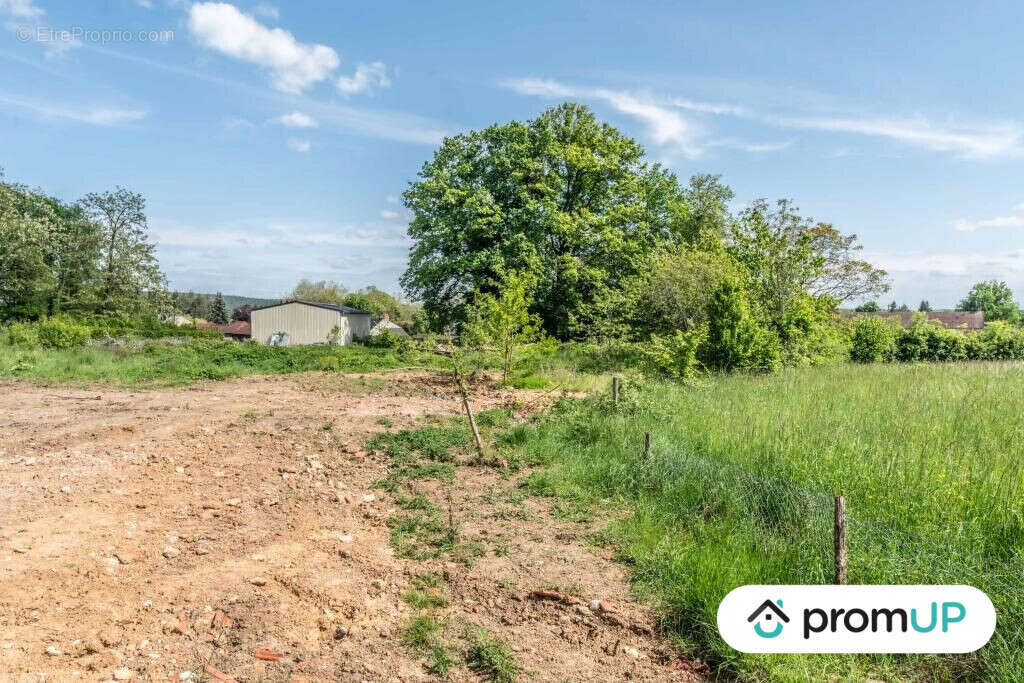 Terrain à LA FERMETE