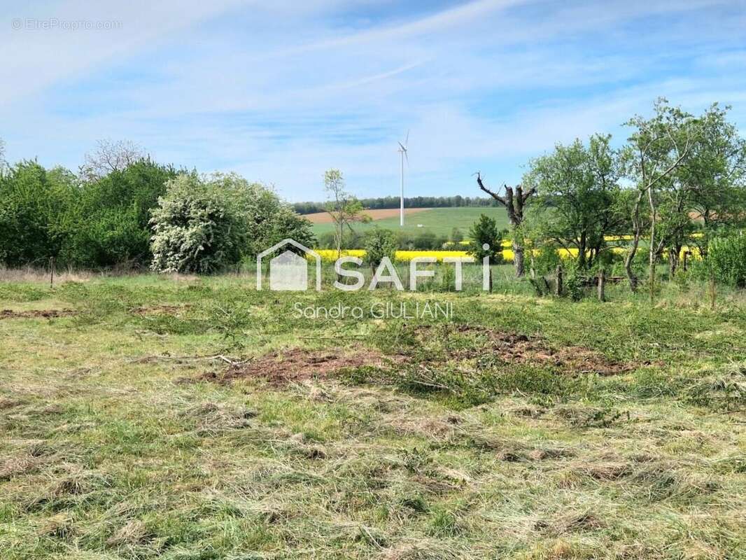 Terrain 2399 m² à Doncourt-Les-Longuyon  - photo 2