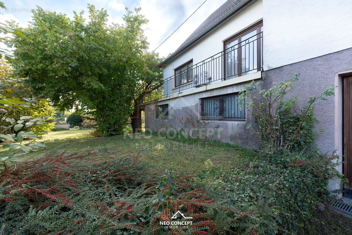 Maison à STUTZHEIM-OFFENHEIM