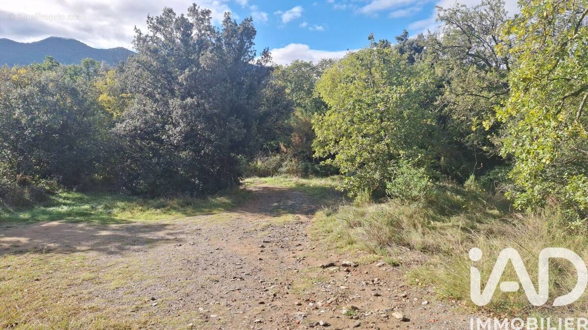 Photo 1 - Terrain à MONTESQUIEU-DES-ALBERES