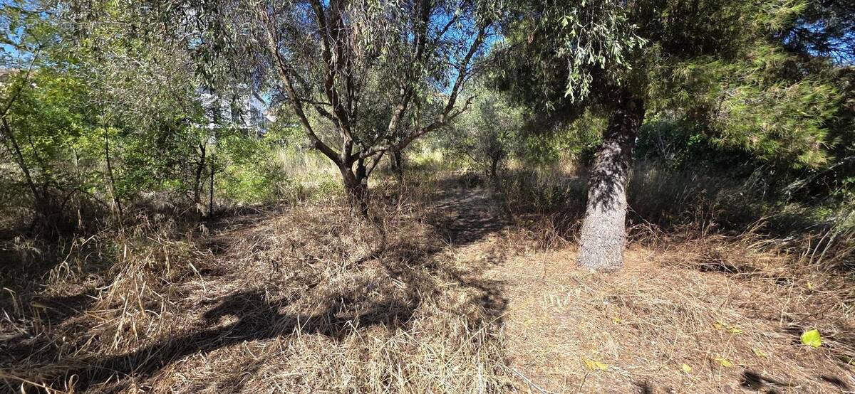 Terrain à FRONTIGNAN