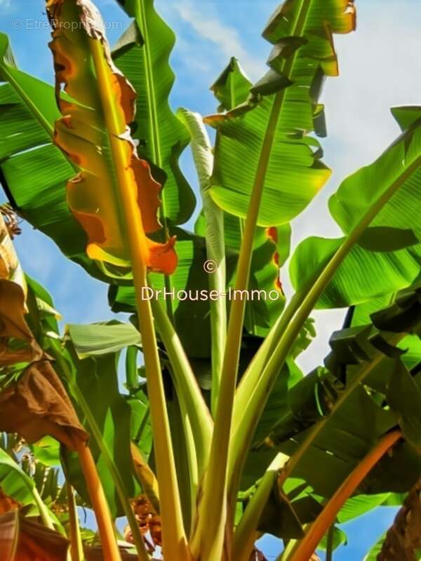 Maison à VILLEFRANCHE-SUR-SAONE