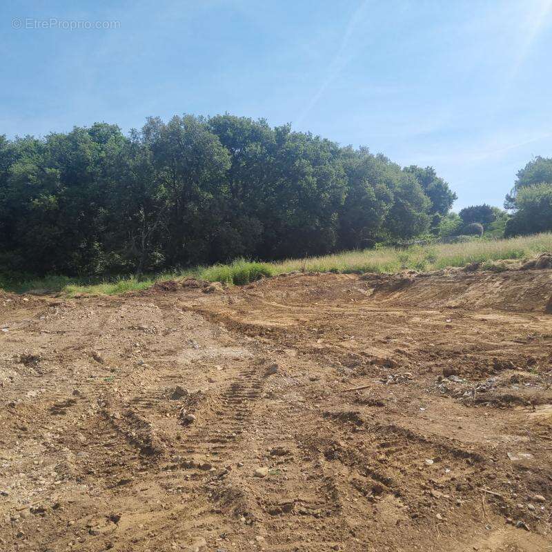 Terrain à SEREZIN-DU-RHONE