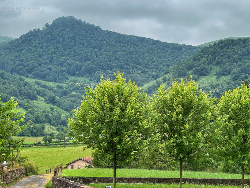 Maison à LARCEVEAU-ARROS-CIBITS