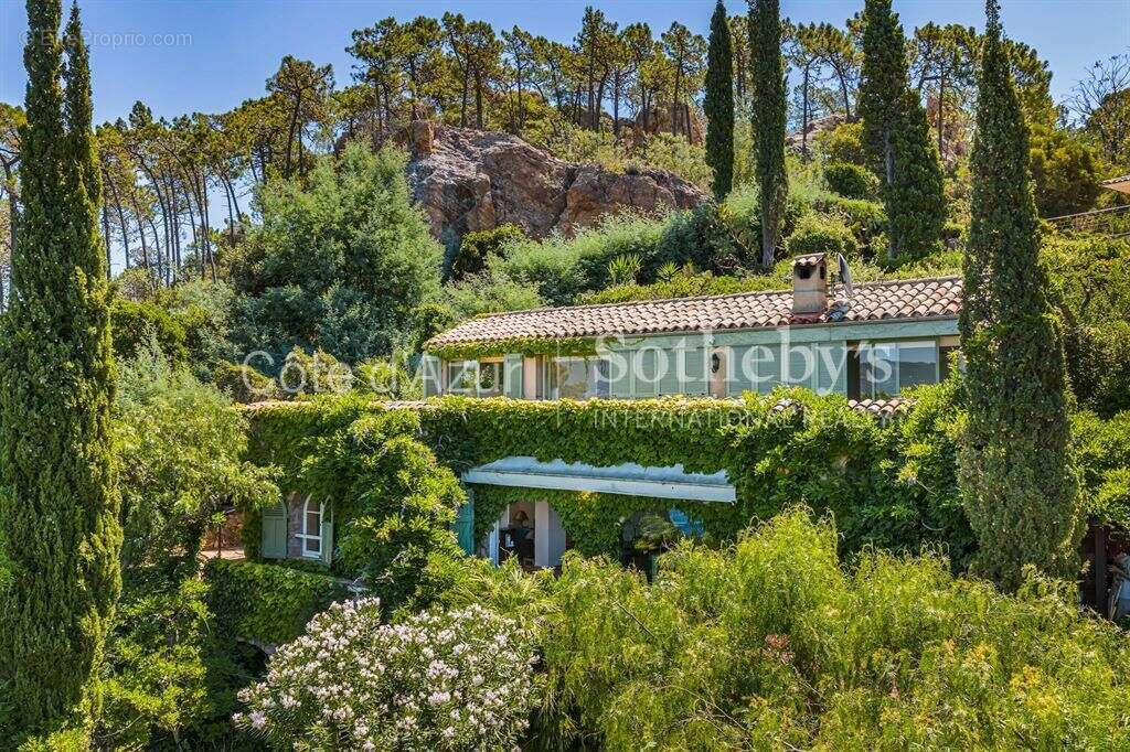 Théoule-sur-Mer – Villa provençale de 180 m² avec vue mer panoramique, piscine et hammam - photo 3