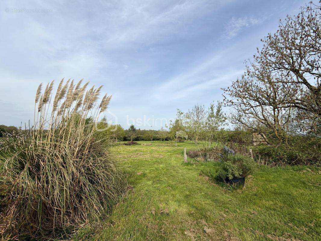 Maison à LA BARRE-EN-OUCHE