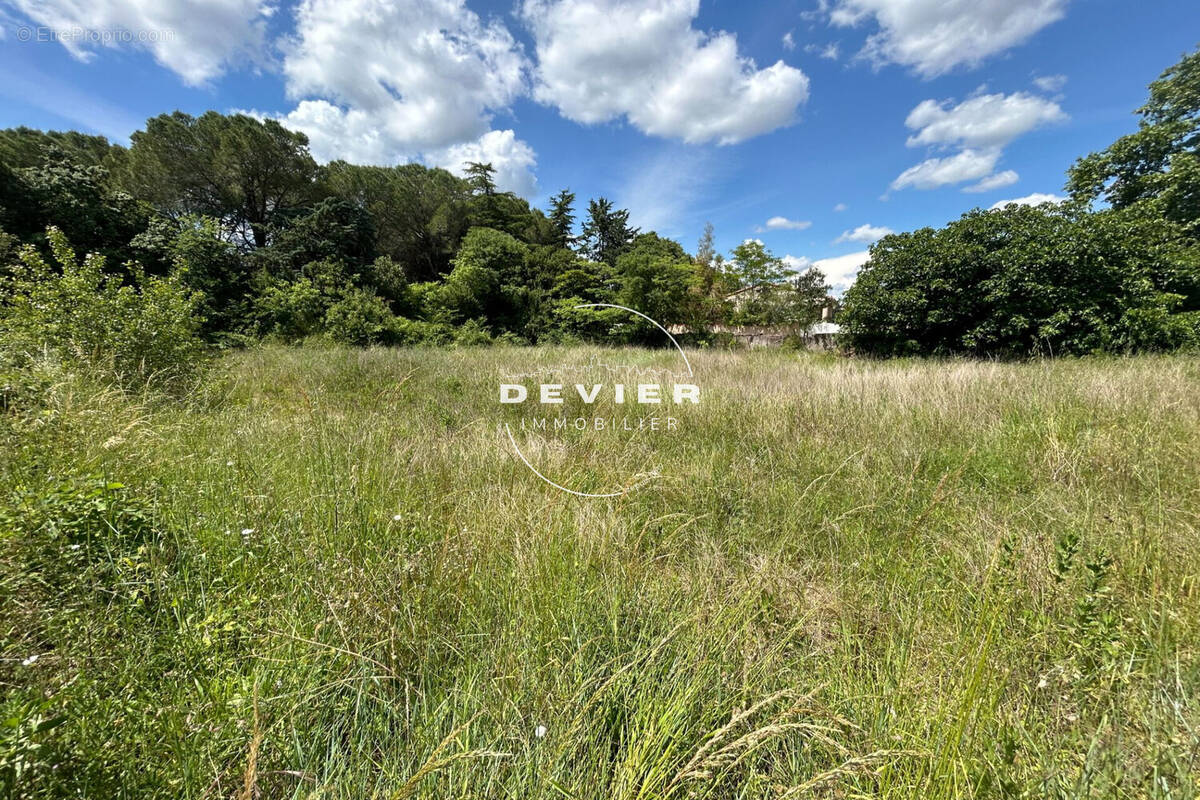 Terrain à SAINT-GENIES-DES-MOURGUES