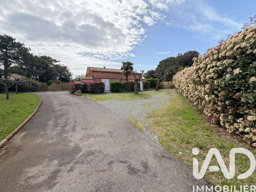 Photo 3 - Maison à SOLARO