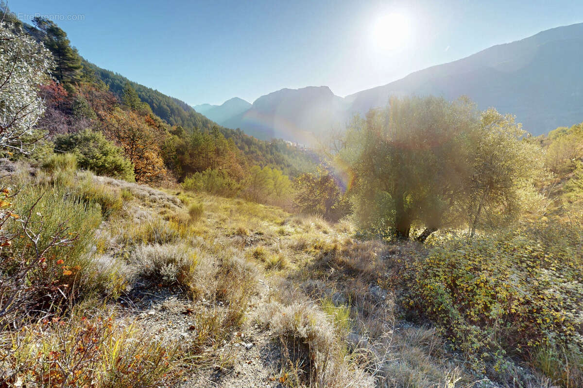 Terrain à PUGET-THENIERS