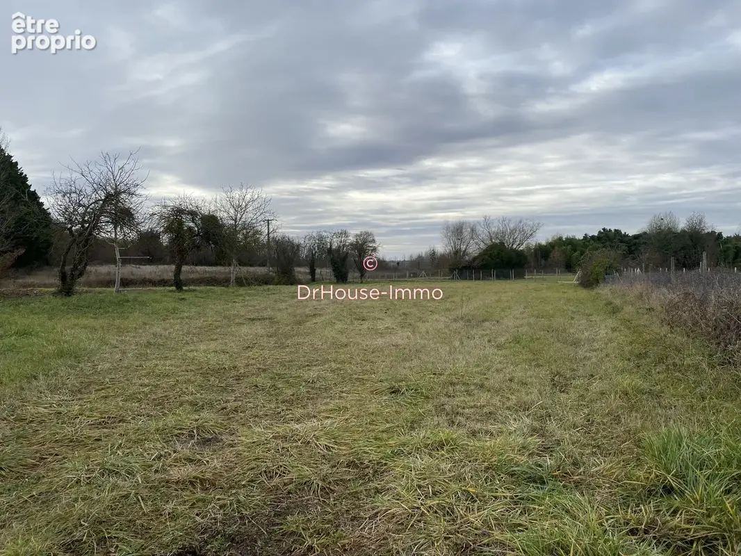 Terrain 1 860 m² à vendre à Doussay (86140) - photo 12