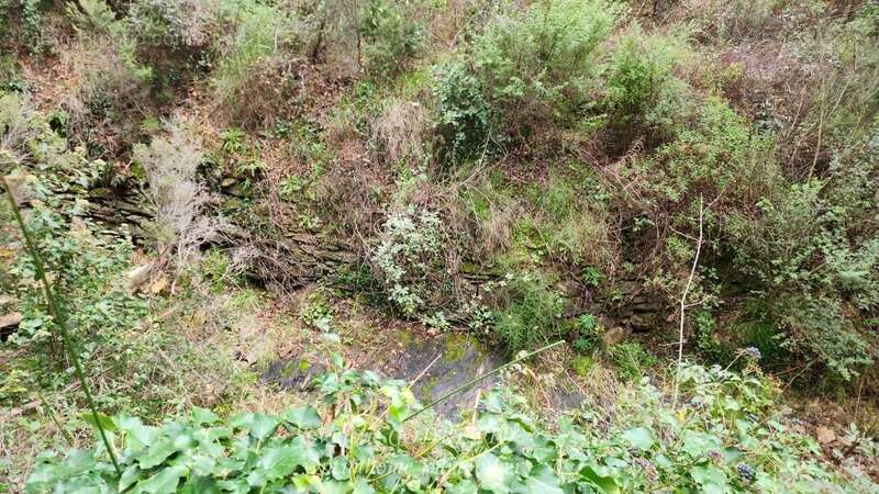 Terrain à COLLOBRIERES