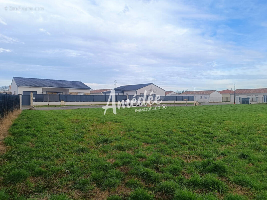 Terrain à MONTAUBAN