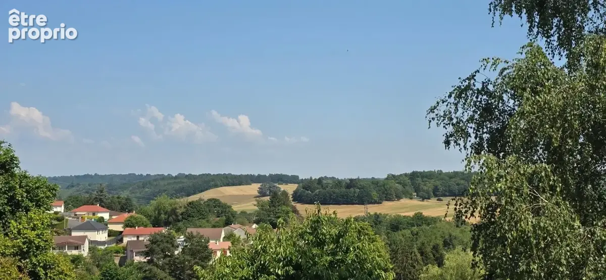 Maison à vendre 4 pièces LE PALAIS SUR VIENNE (87) - photo 19