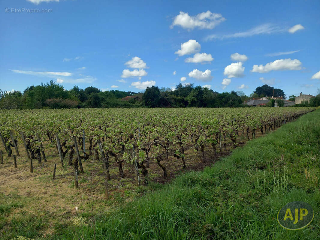 Terrain à SAINT-GERMAIN-D&#039;ESTEUIL