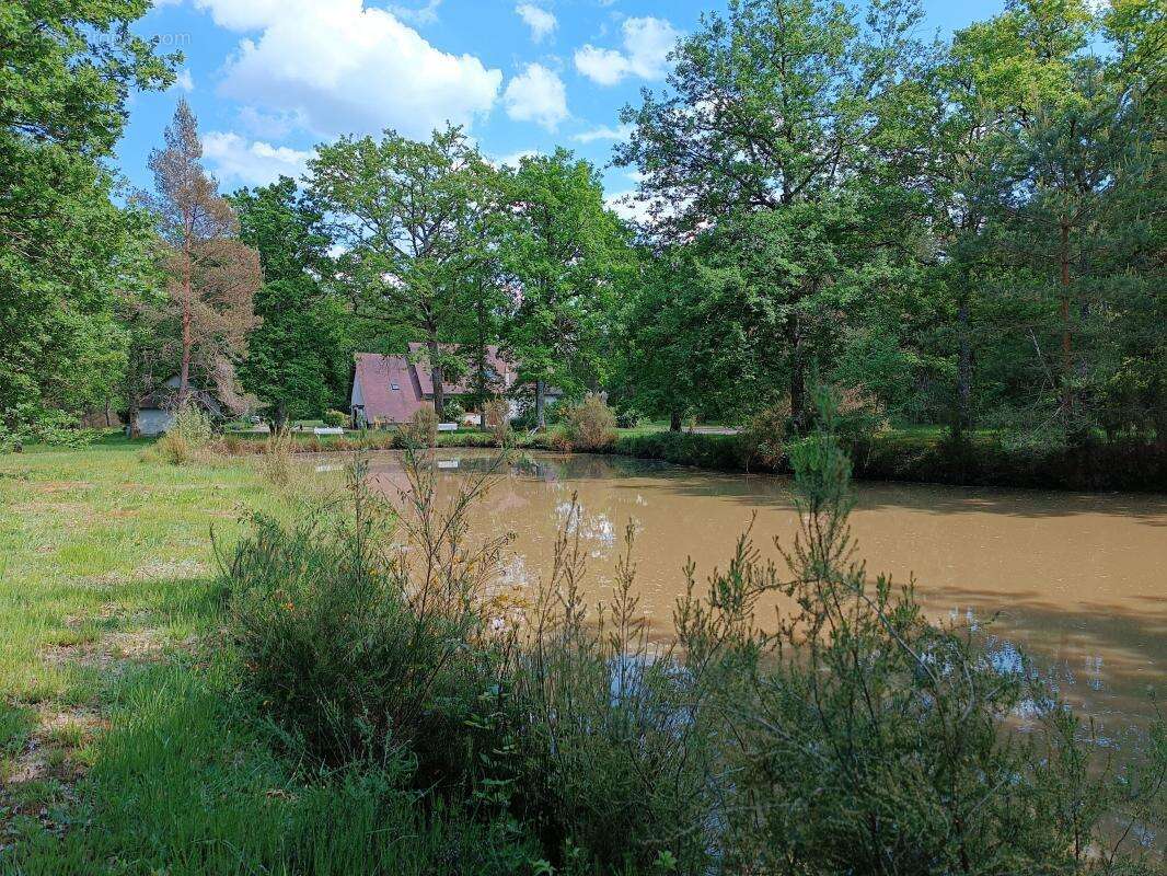 Maison à LIGNY-LE-RIBAULT