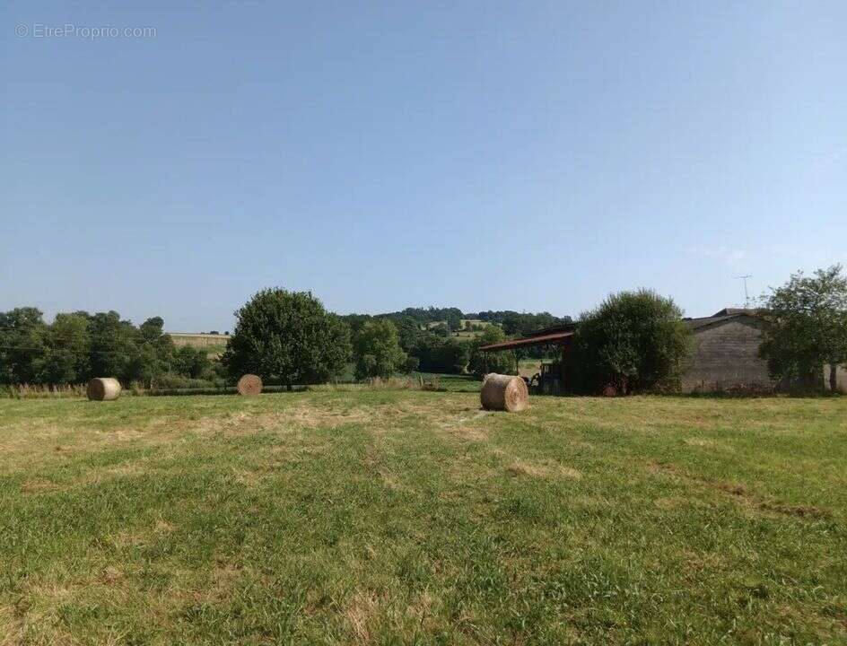 Terrain à LABASTIDE-VILLEFRANCHE