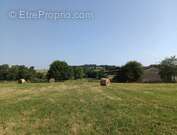 Terrain à LABASTIDE-VILLEFRANCHE