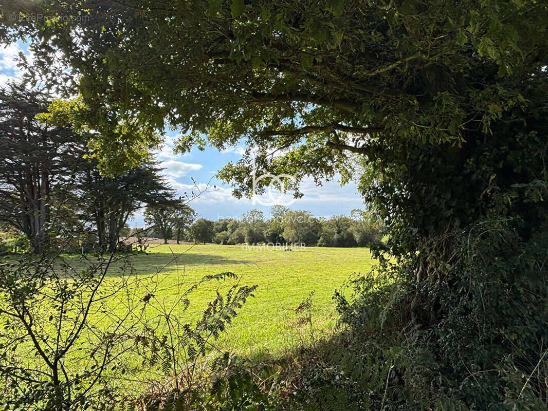 Terrain à BERRIC