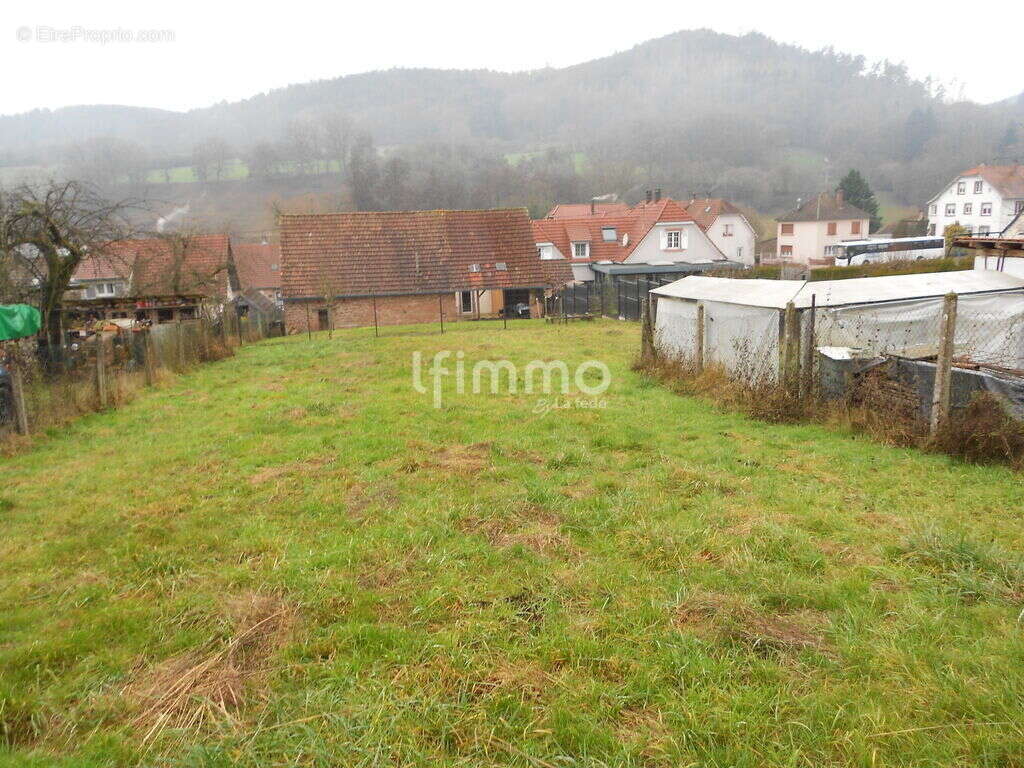 Terrain à LEMBACH