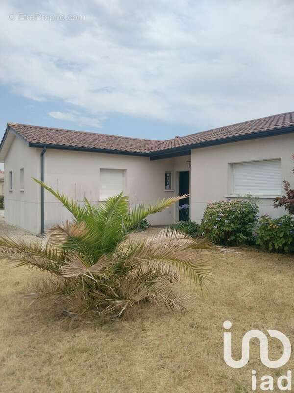 Photo 5 - Maison à LE PIAN-SUR-GARONNE