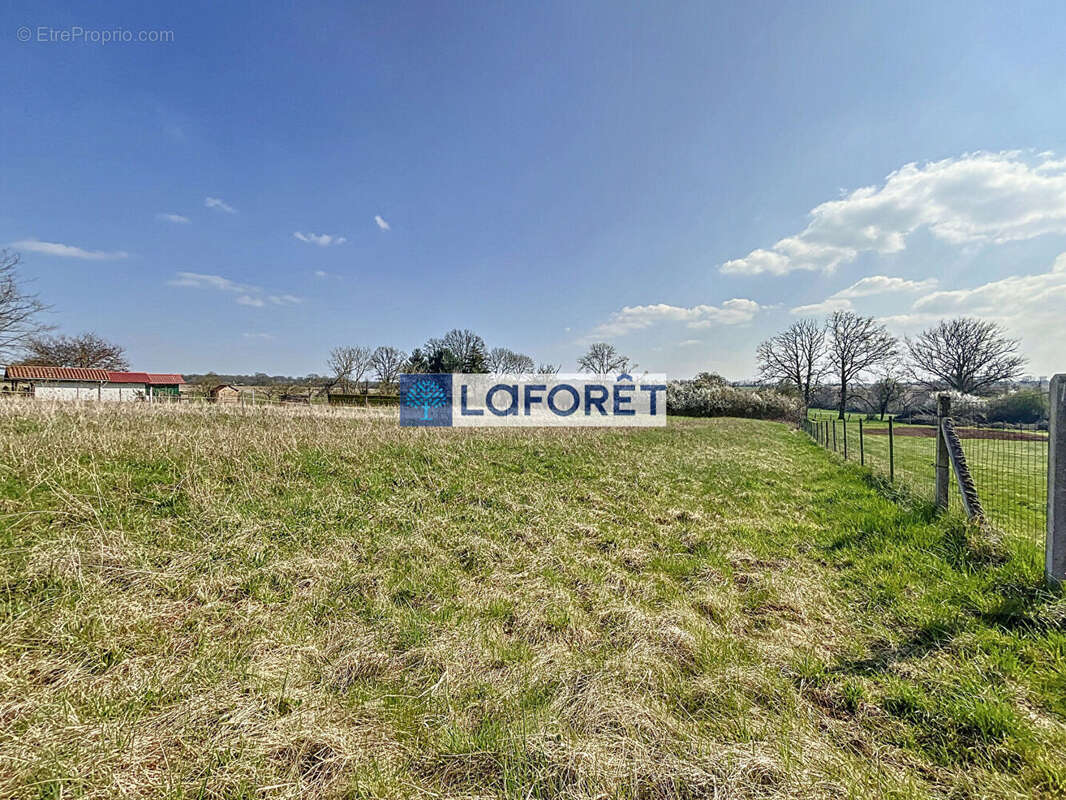 Terrain à VOILLECOMTE