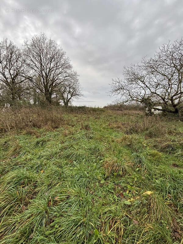 Maison à DAMMARIE-EN-PUISAYE