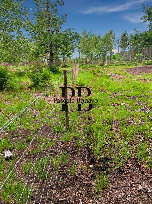 Terrain à VENDAYS-MONTALIVET