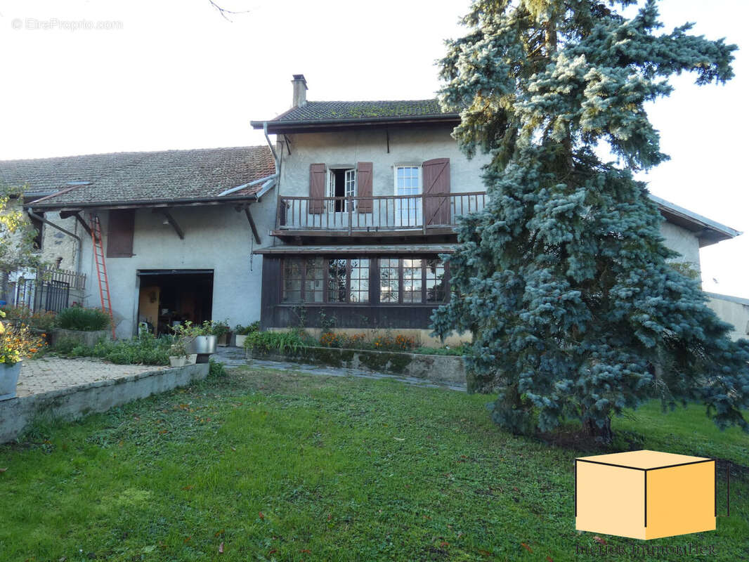 Maison à BELLEY